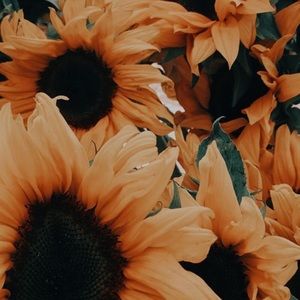 Meet your Posher, Kierra